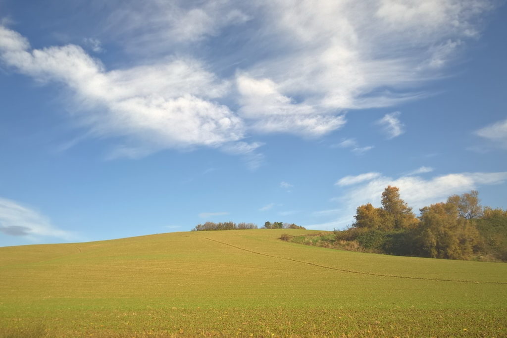 montagna, colline, pianura alla scuola primaria