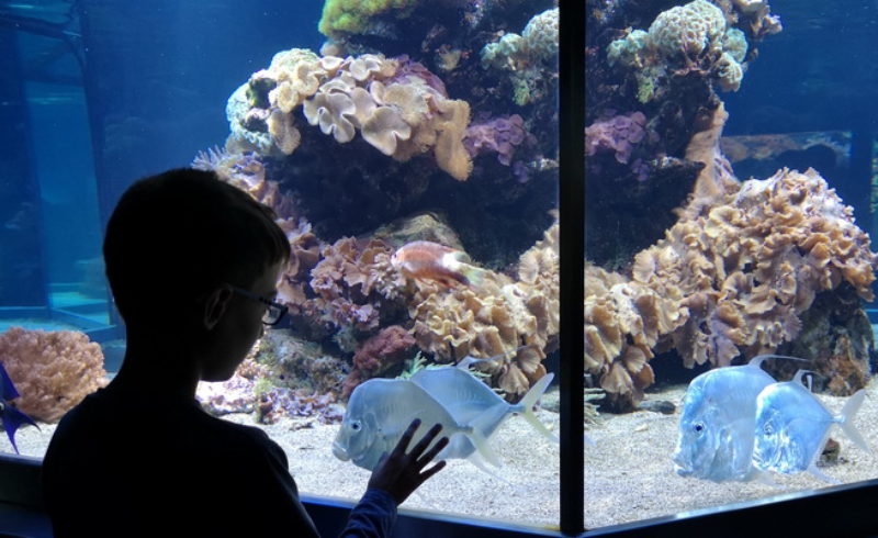 La Luna Di Carta Libero Apprendimento Per Bambini Felici