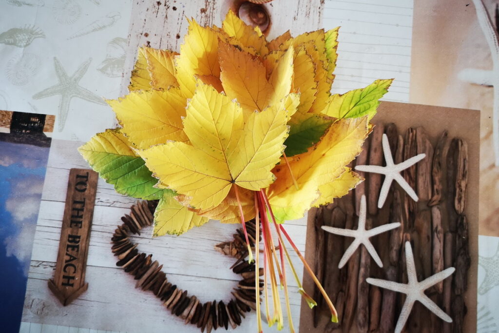 idee creative e didattica con le foglie in autunno. idee didattiche sull'autunno