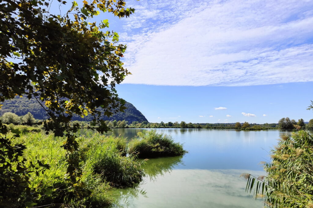 Le torbiere del Sebino in eBike