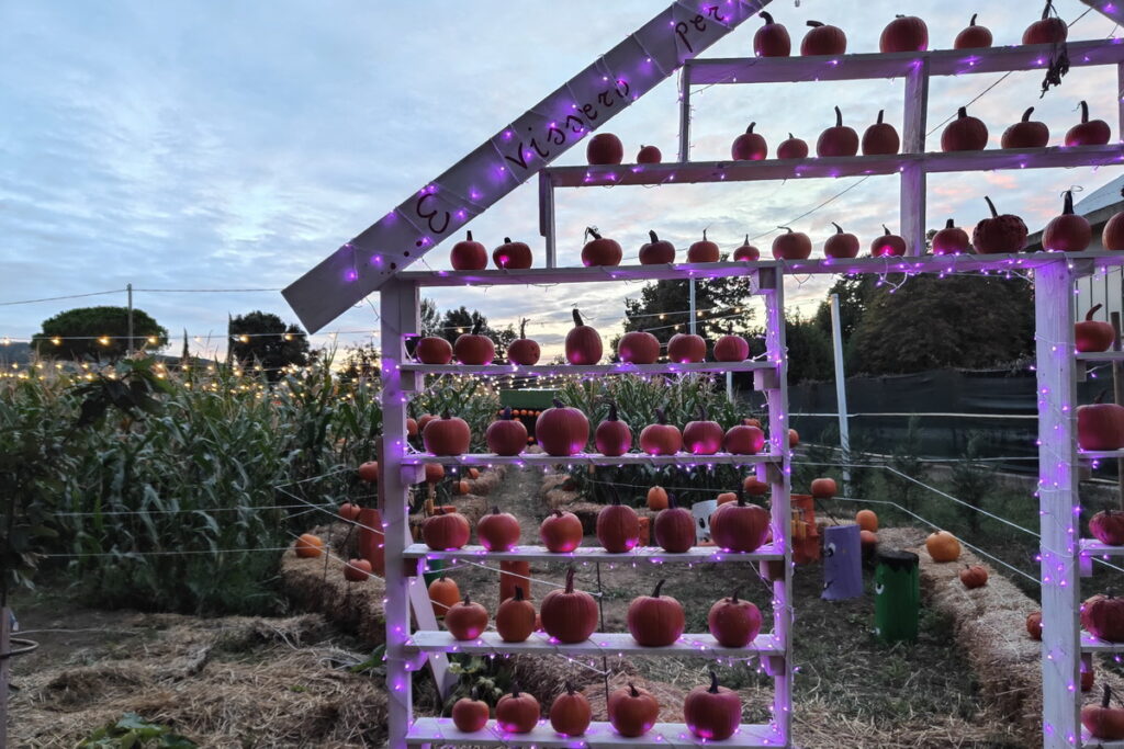 pumpkin villages nelle MARCHE