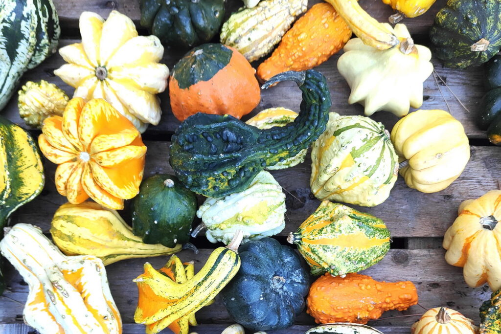 IDEE creative per bambini con la zucca