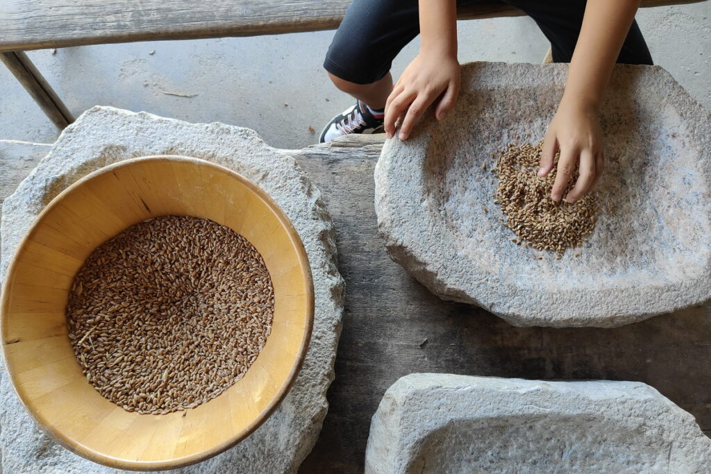 Laboratori archeologia per bambini all'archeopark