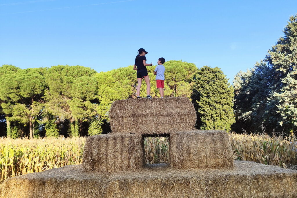 villaggio delle zucche a Pesaro il giardino dei colori