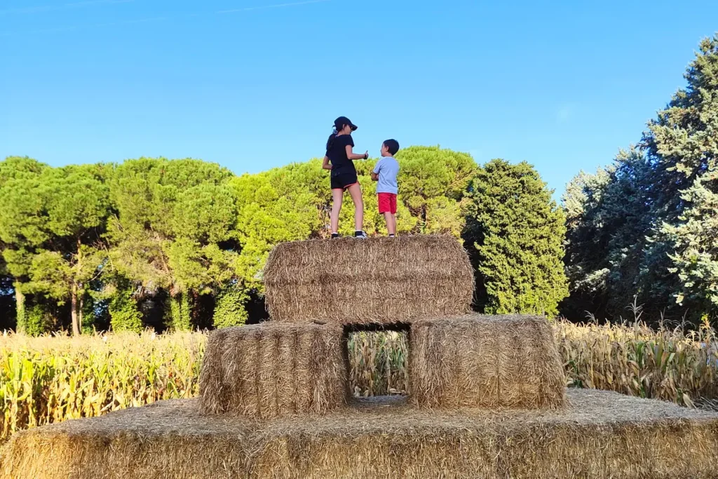 novità giardino dei colori vallefoglia