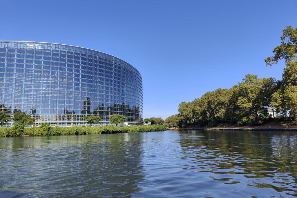 IL Parlamento Europeo e la Corte Europea dei Diritti dell'Uomo