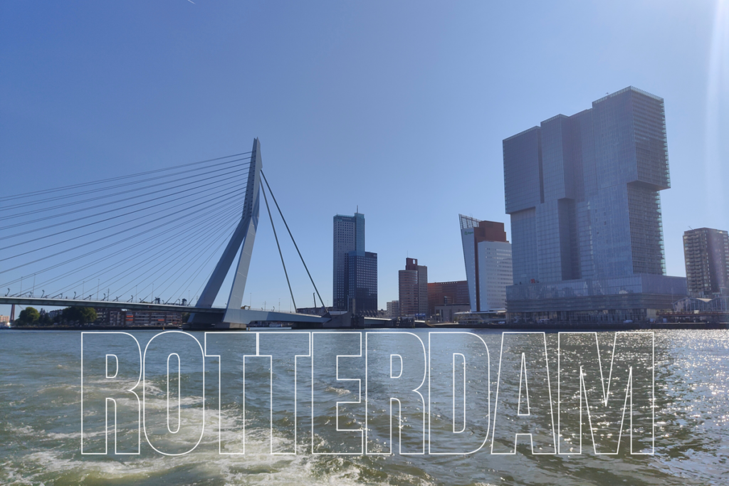 Cosa vedere a Rotterdam con i bambini