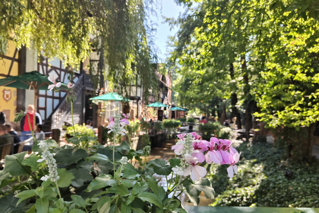 Europa-Park, viaggio tra culture e divertimento