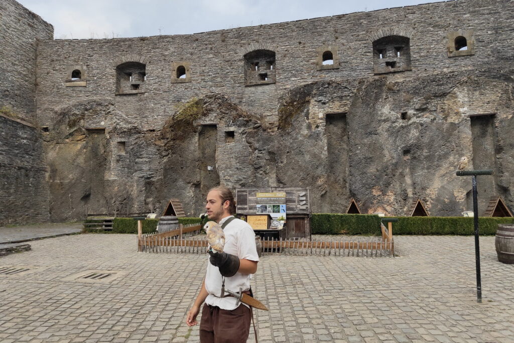 spettacolo di falconeria al Castello di Bouillon