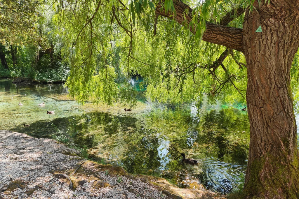 Fonti del Clitunno: dove natura, storia e poesia si incontrano