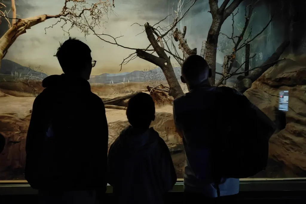 Zoo Frankfurt: una pausa nella natura